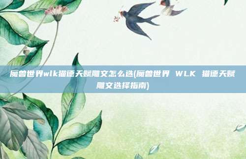 魔兽世界wlk猫德天赋雕文怎么选(魔兽世界 WLK 猫德天赋雕文选择指南)